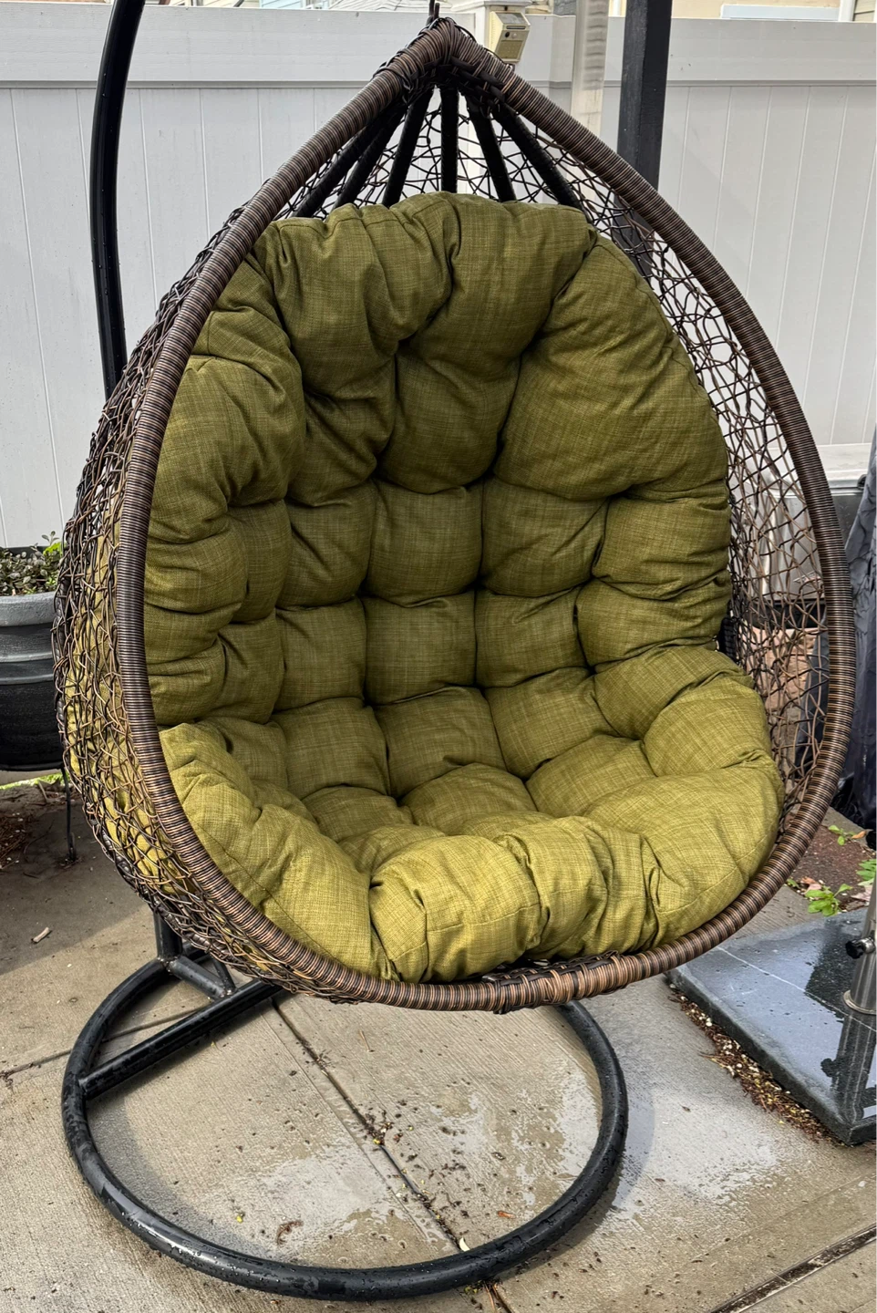 Hanging Egg Chair with Green Cushion