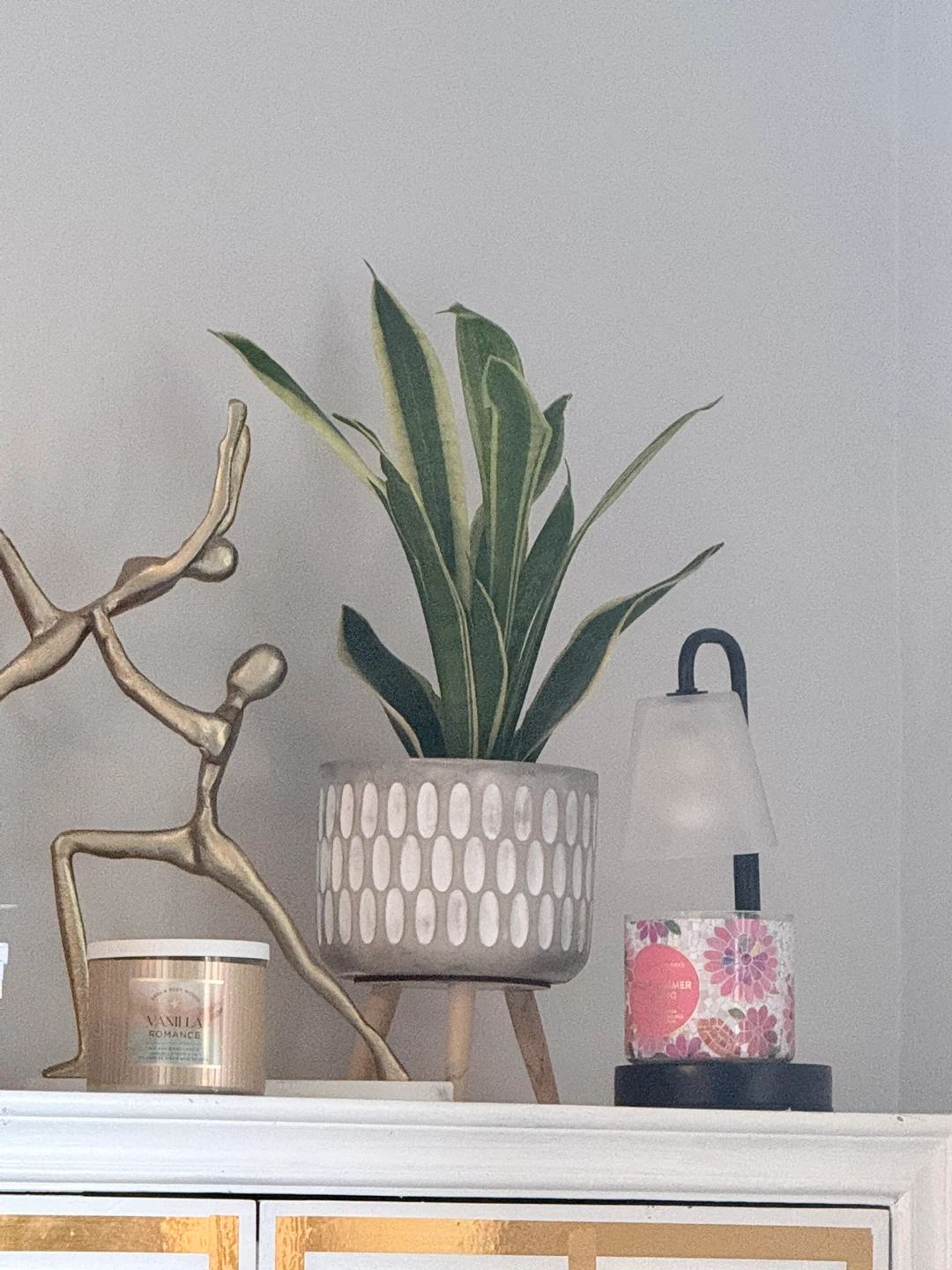 Real- Snake Plant in Decorative Pot