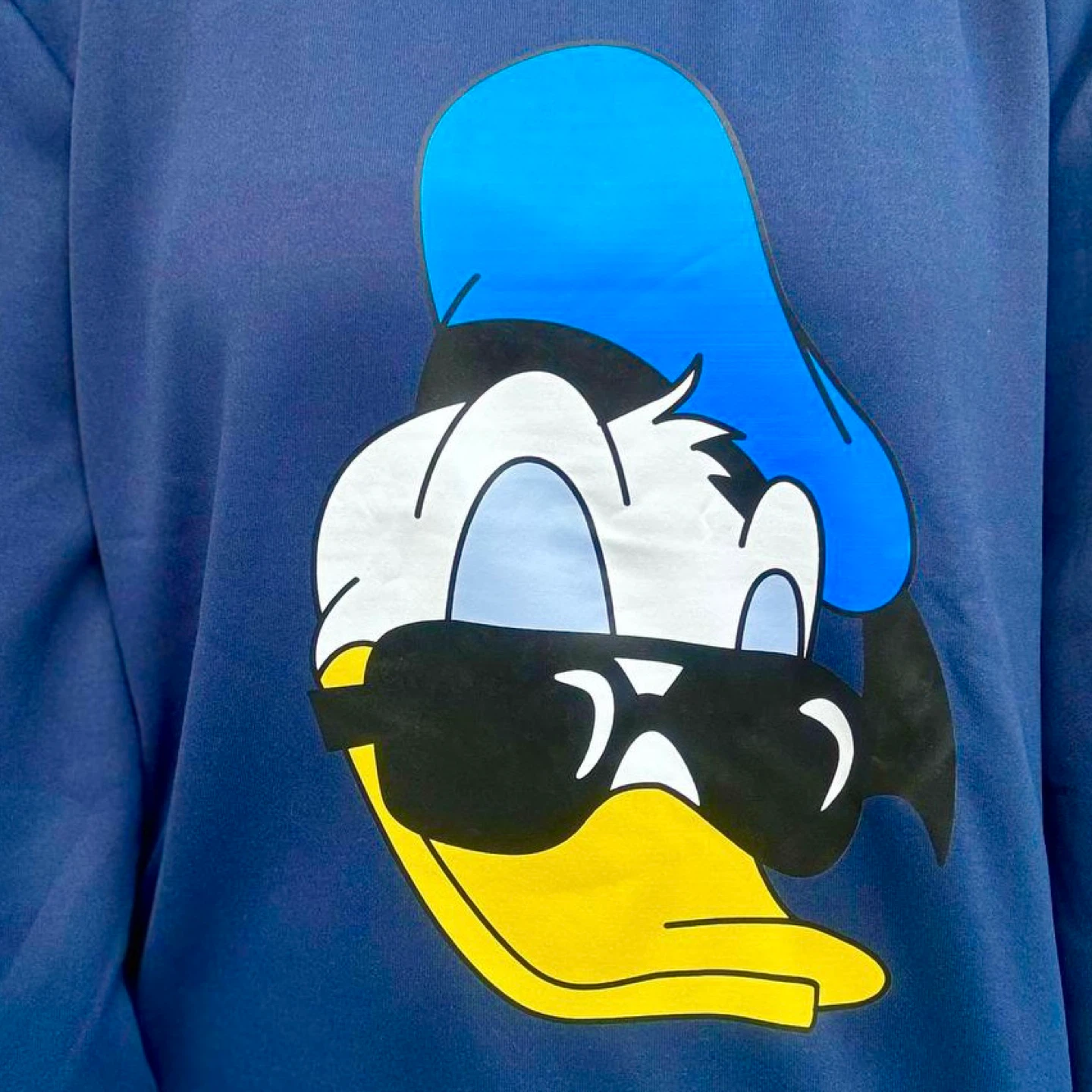 Donald Duck Graphic