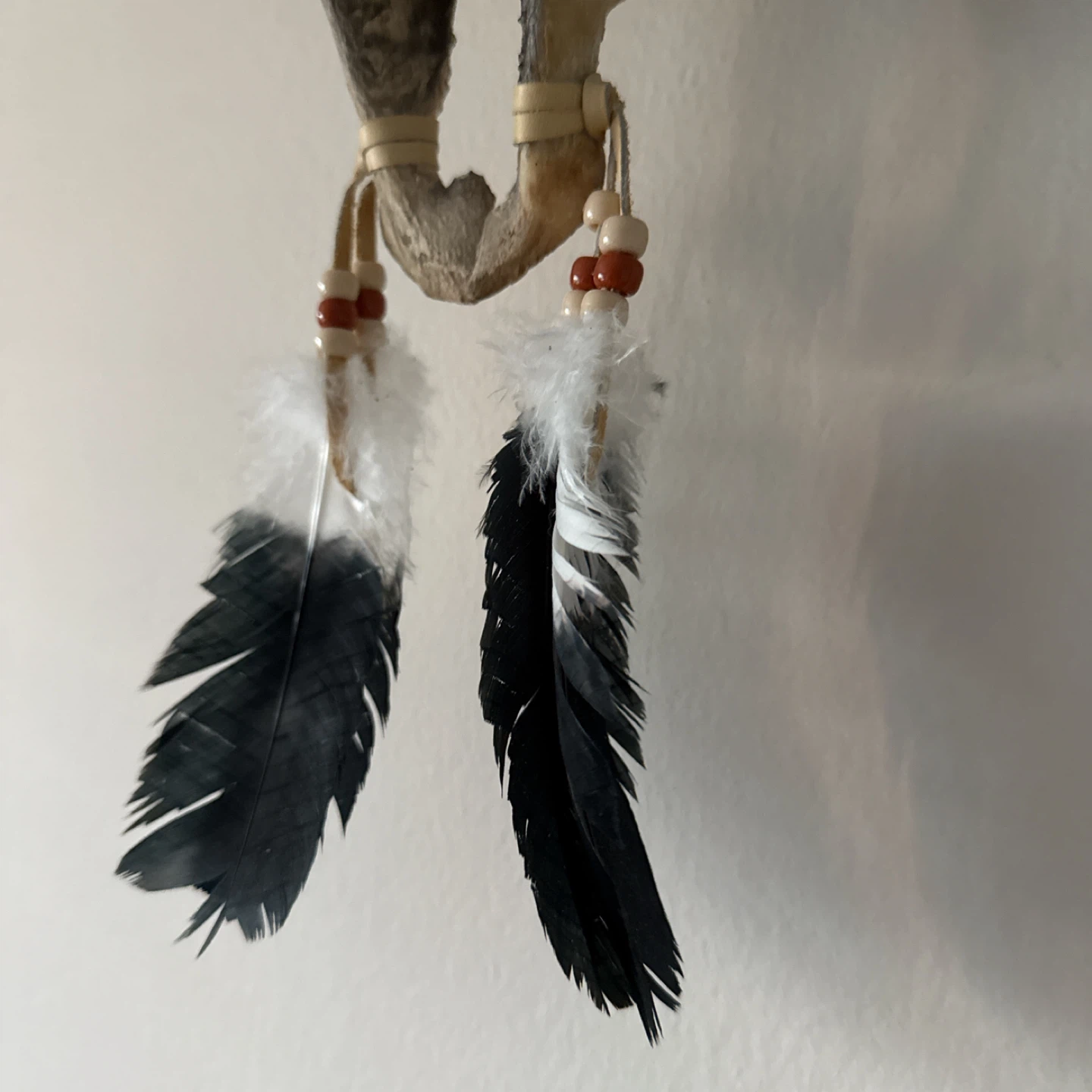 Painted Buffalo Skull with Wolf and Feathers - photo 5