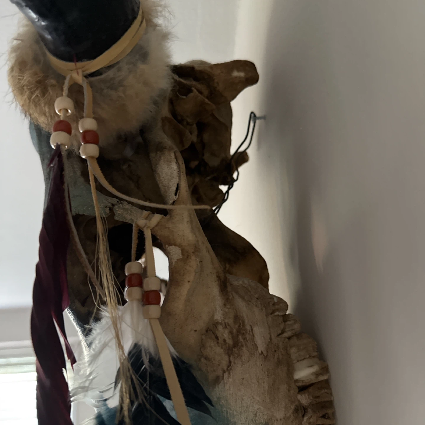 Painted Buffalo Skull with Wolf and Feathers - photo 3