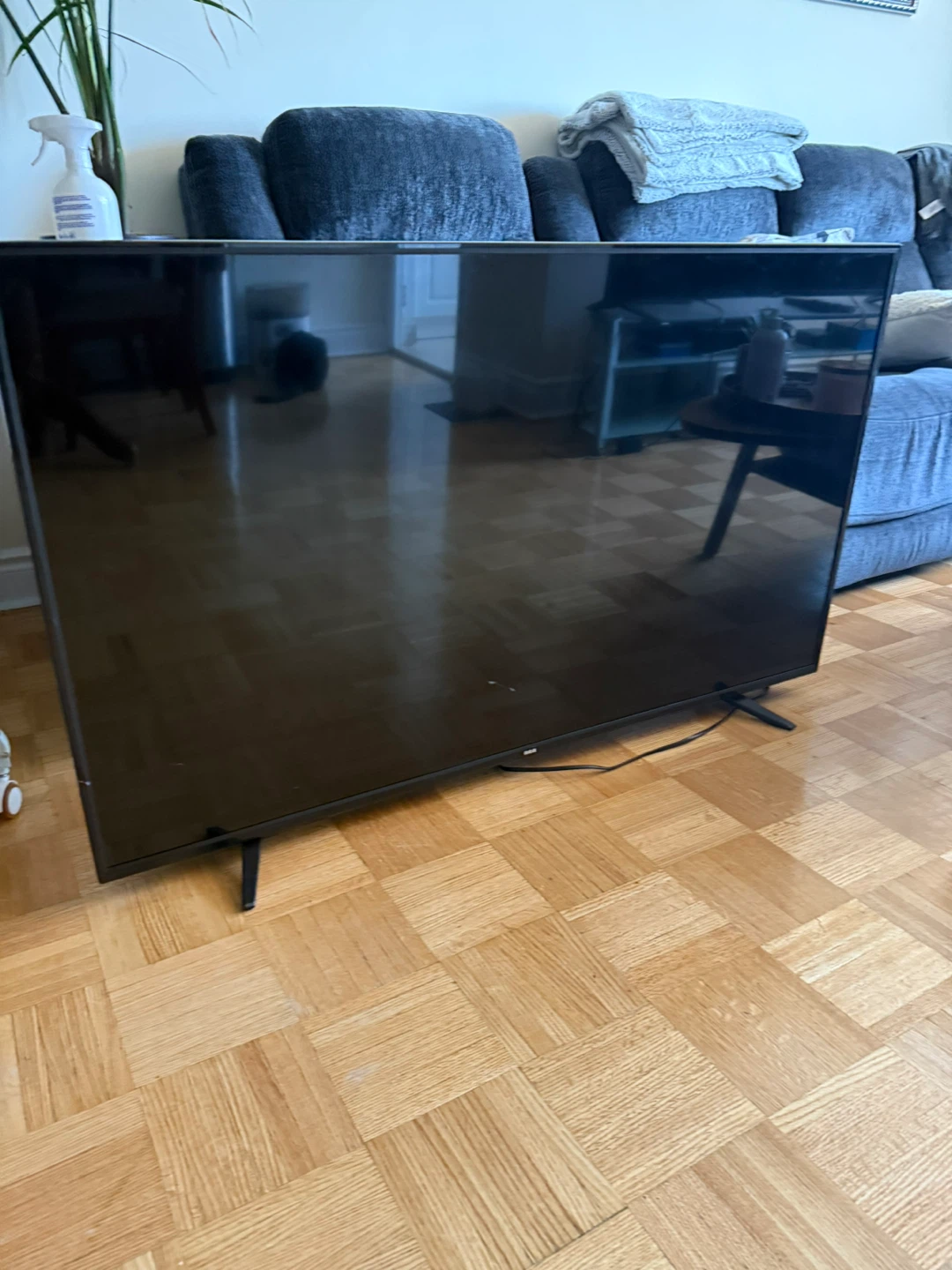 RCA 55" TV