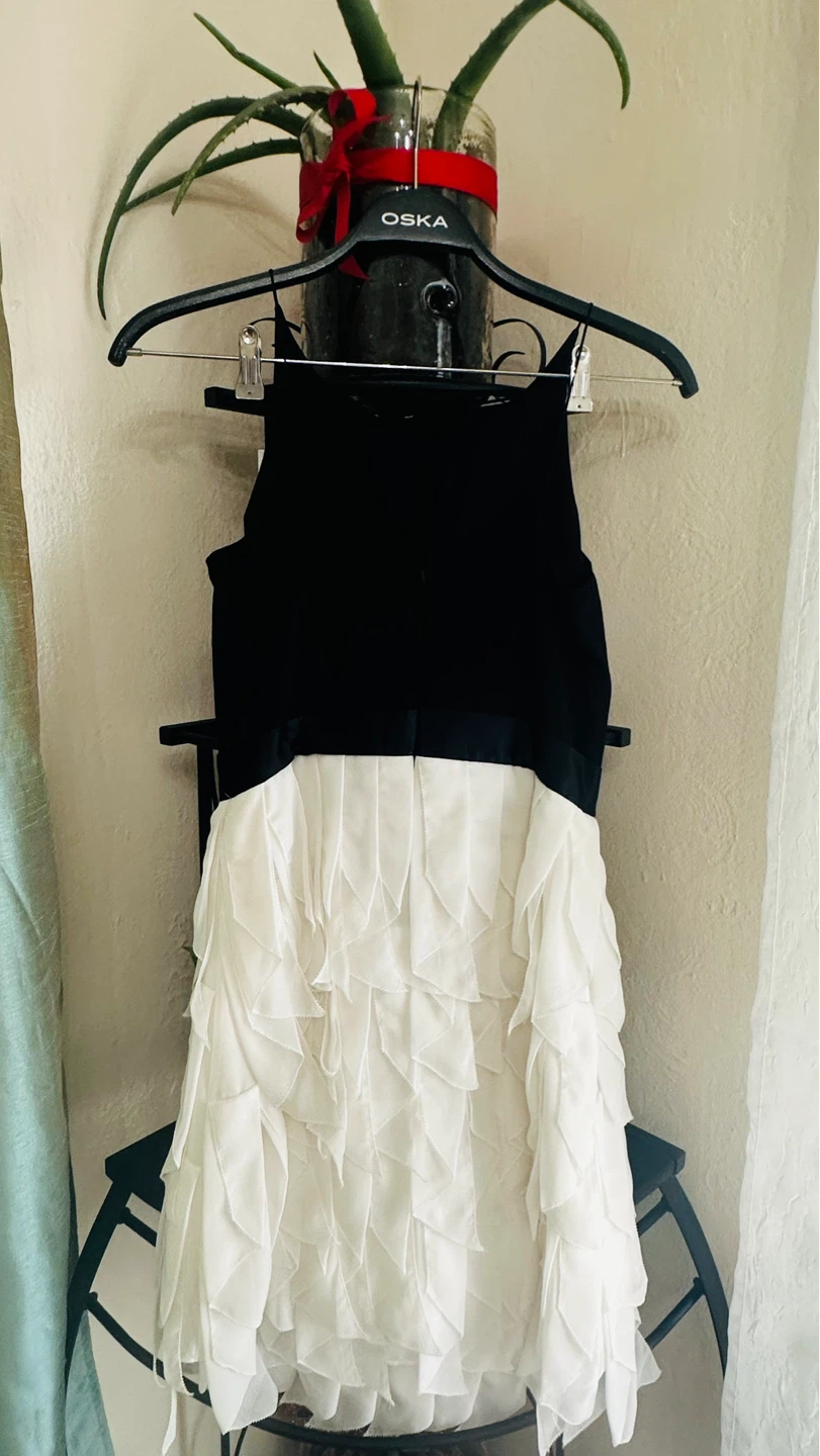 Aidan Mattox Black & White Ruffled Dress