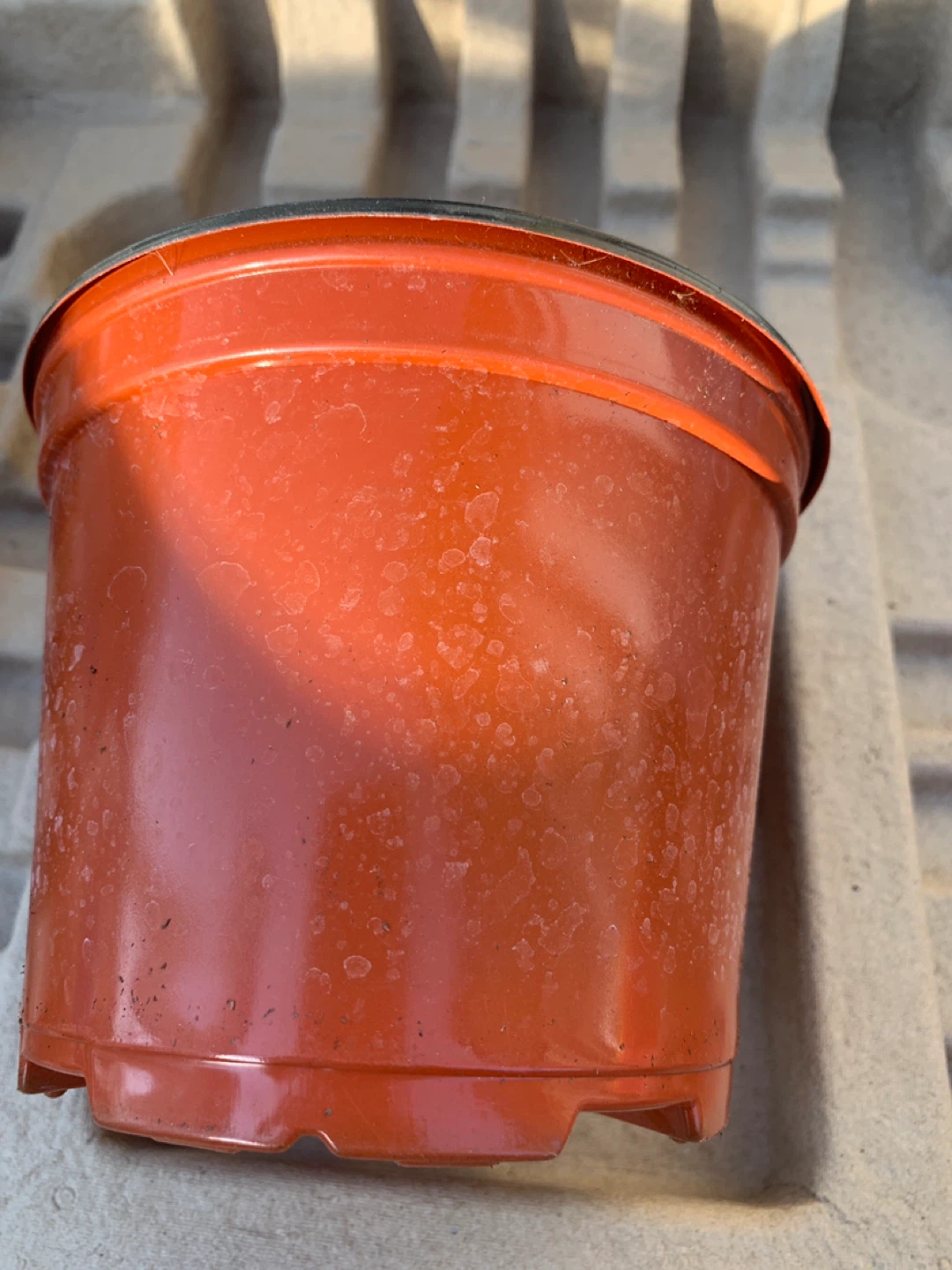 Plastic Plant Pots , 3 for $1,- Orange - photo 4