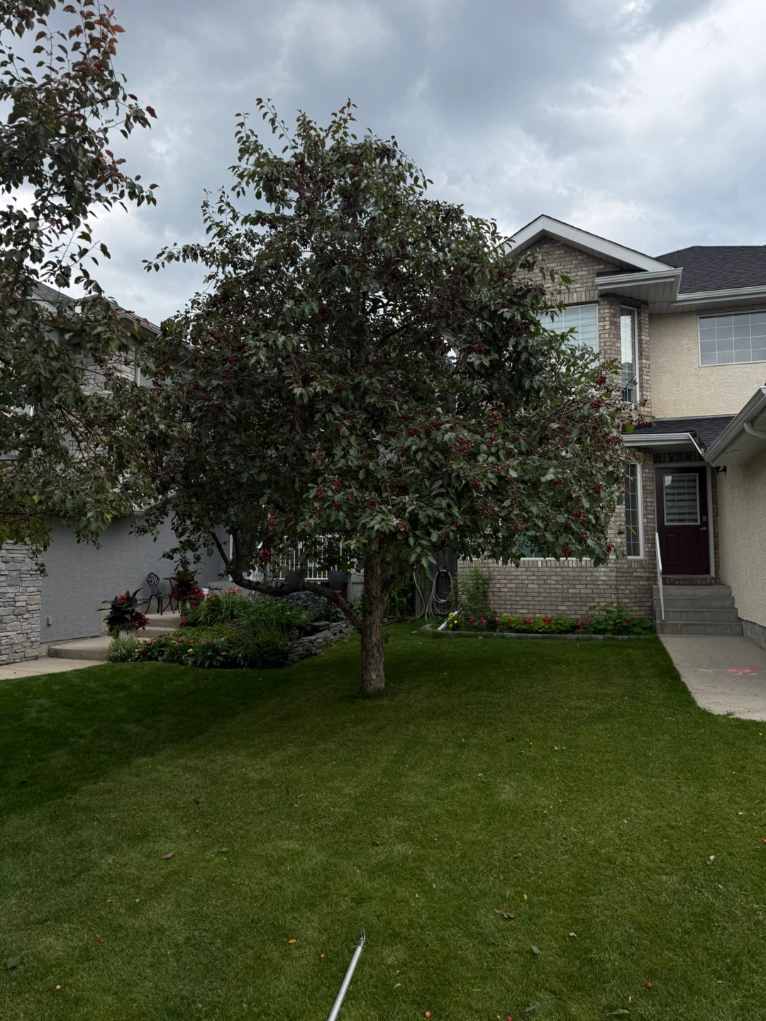ISA Arborist - photo 3