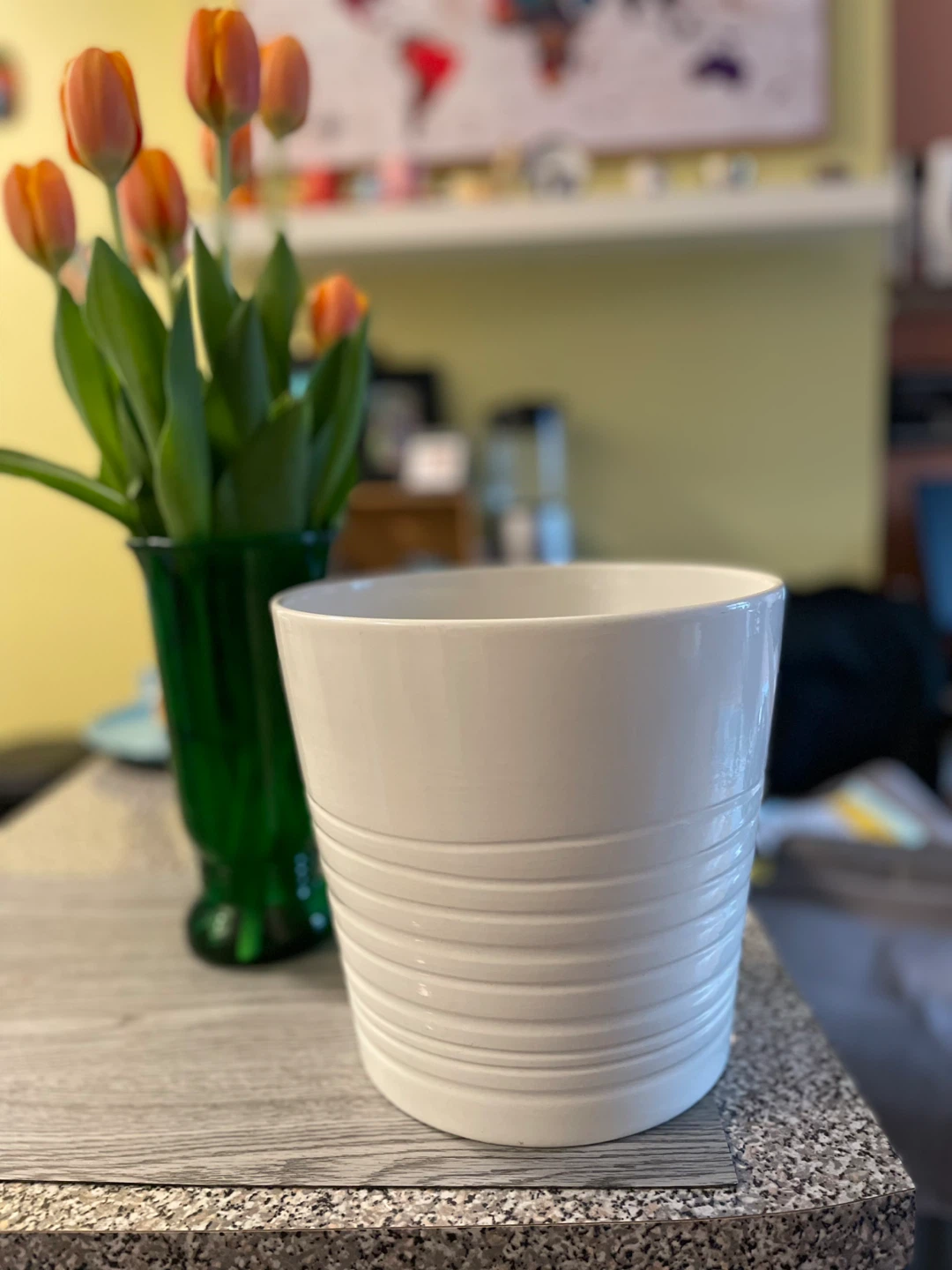 White Ceramic Plant Pot