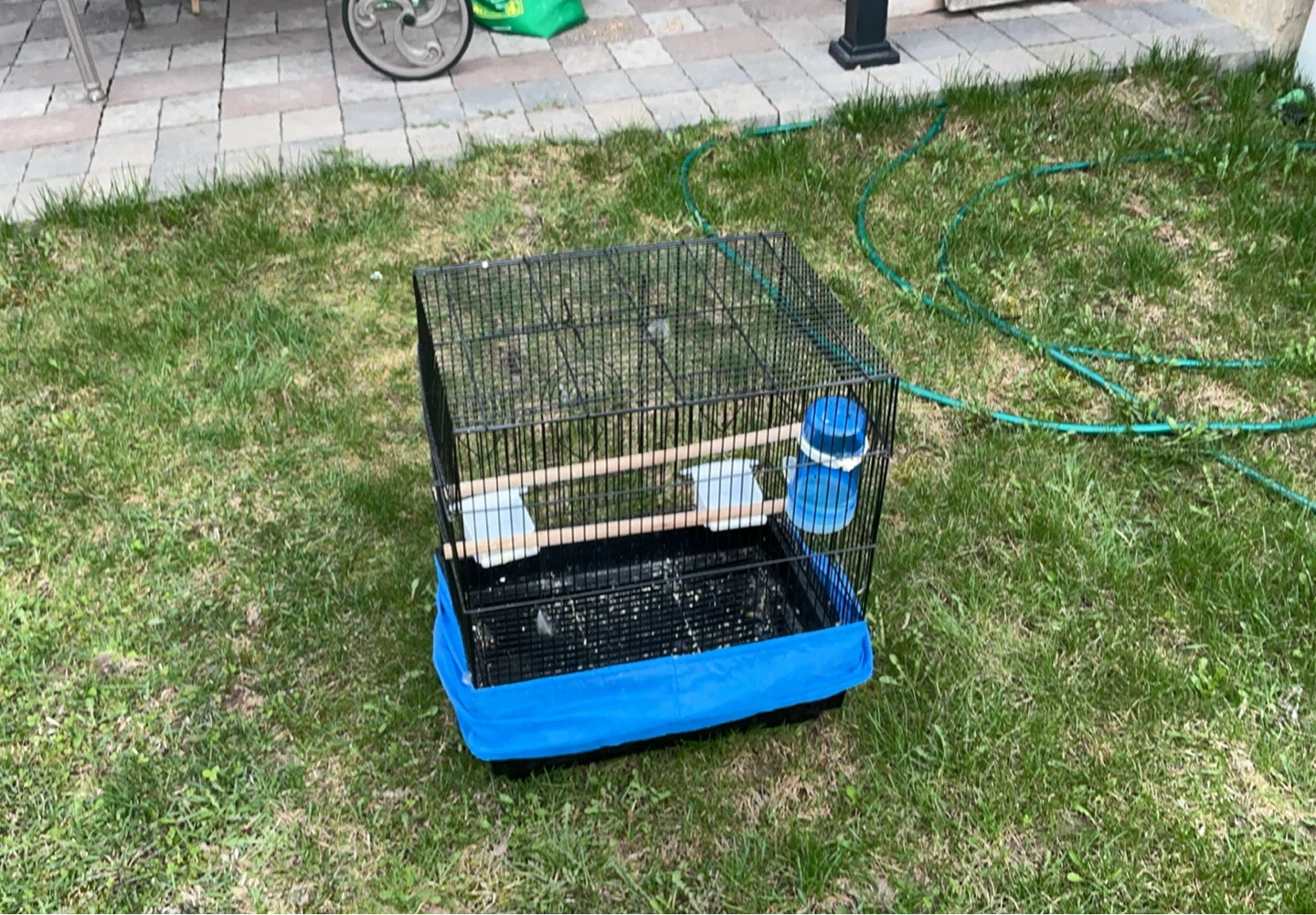 Bird Cage with Accessories