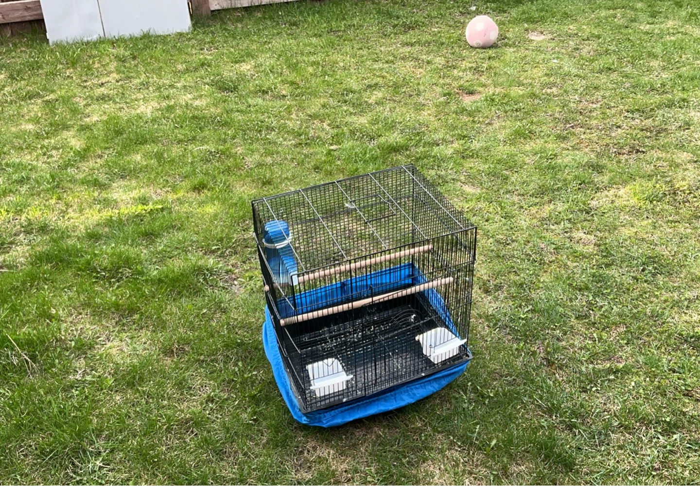 Bird Cage with Accessories - photo 2