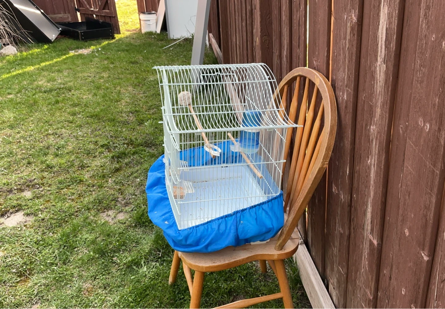 White Bird Cage with Accessories