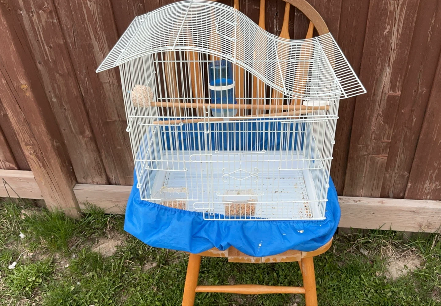White Bird Cage with Accessories - photo 4