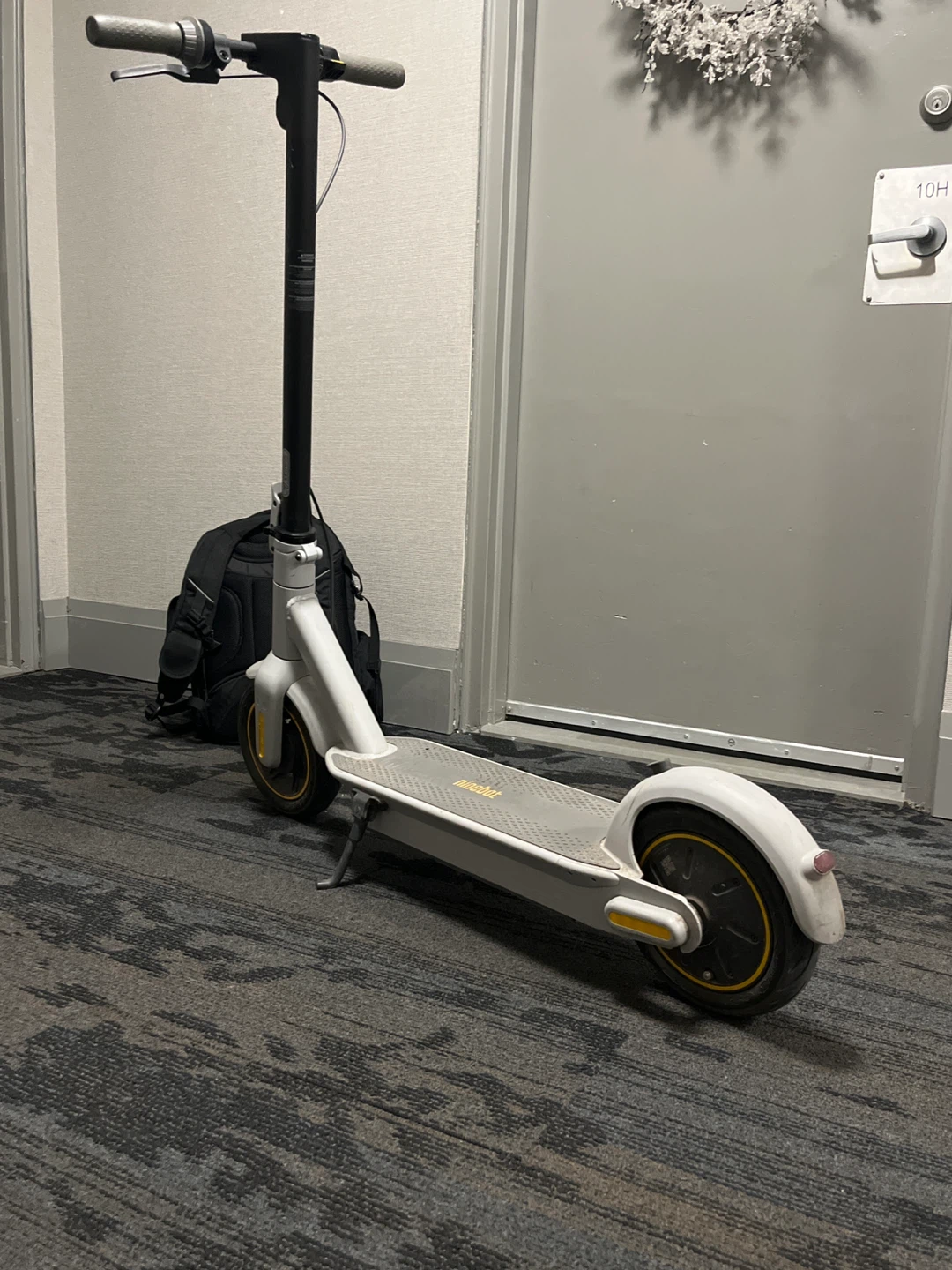 Ninebot Electric scooter