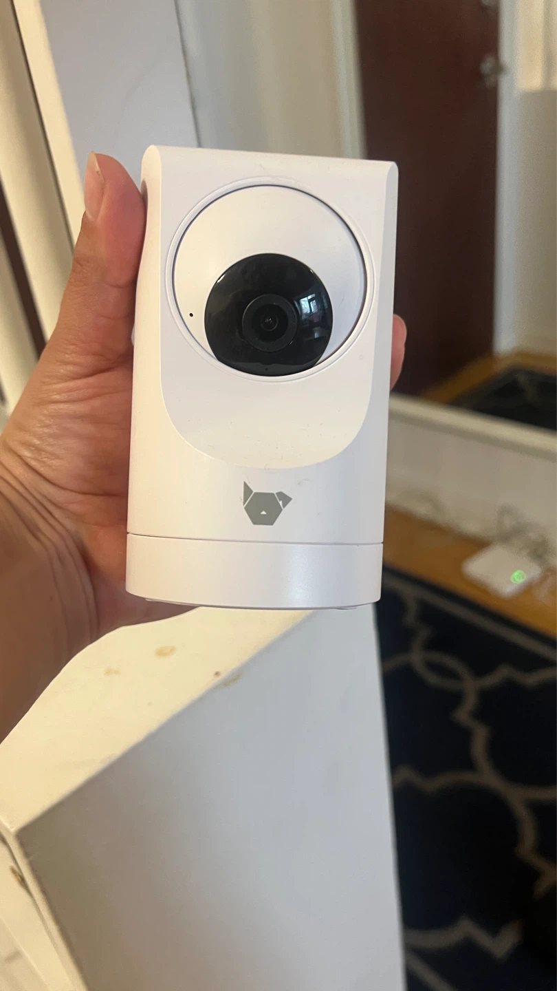 360 Pet camera from PetSmart