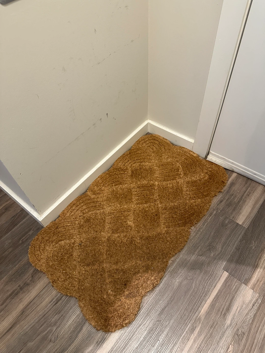 Brown Coir Doormat