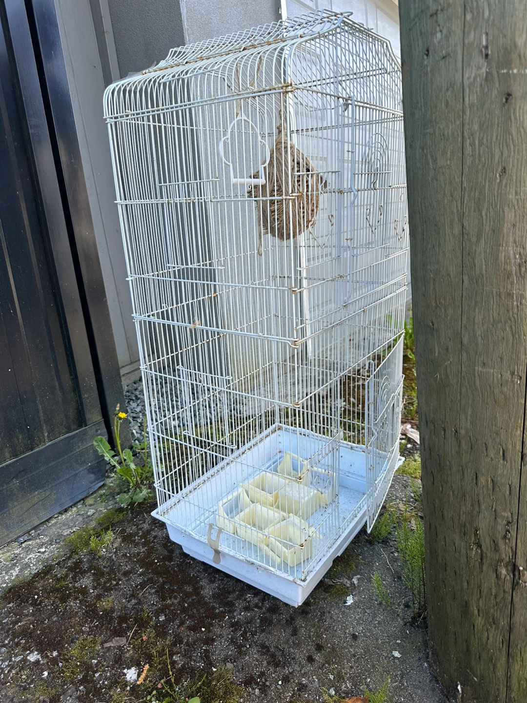 White bird cage with accessories $15