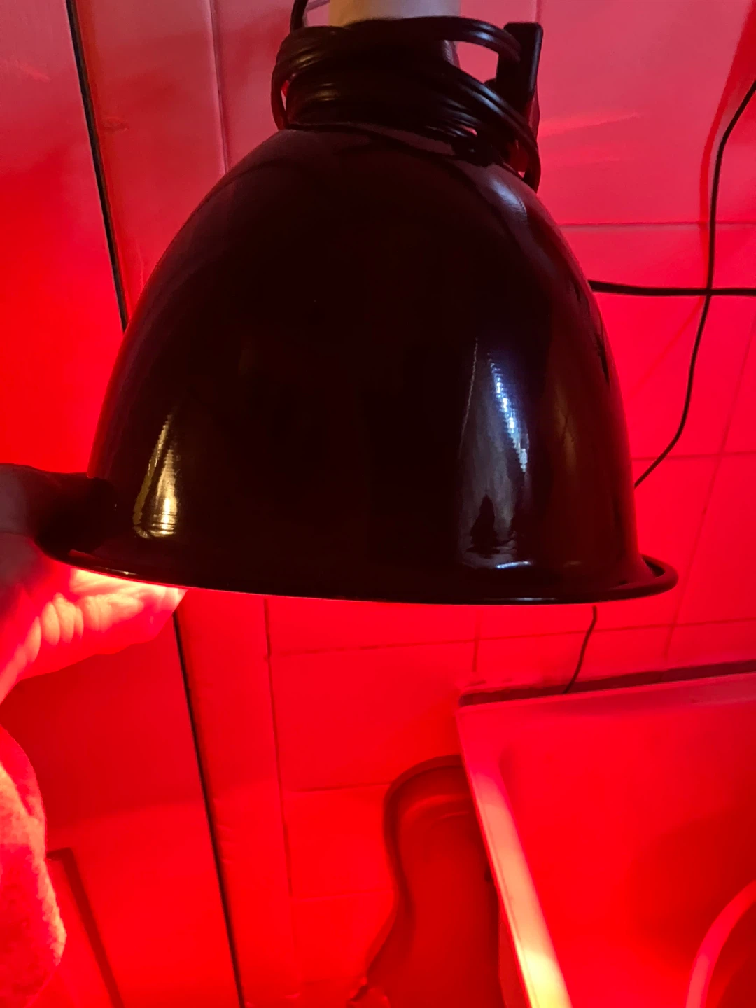 Black Clamp Lamp Heat Emitter Fixture