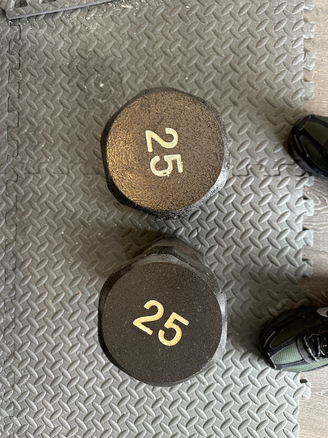 25 lb Dumbbells (Pair)