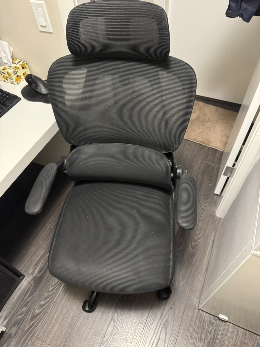 Ergonomic Mesh Office Chair with Headrest