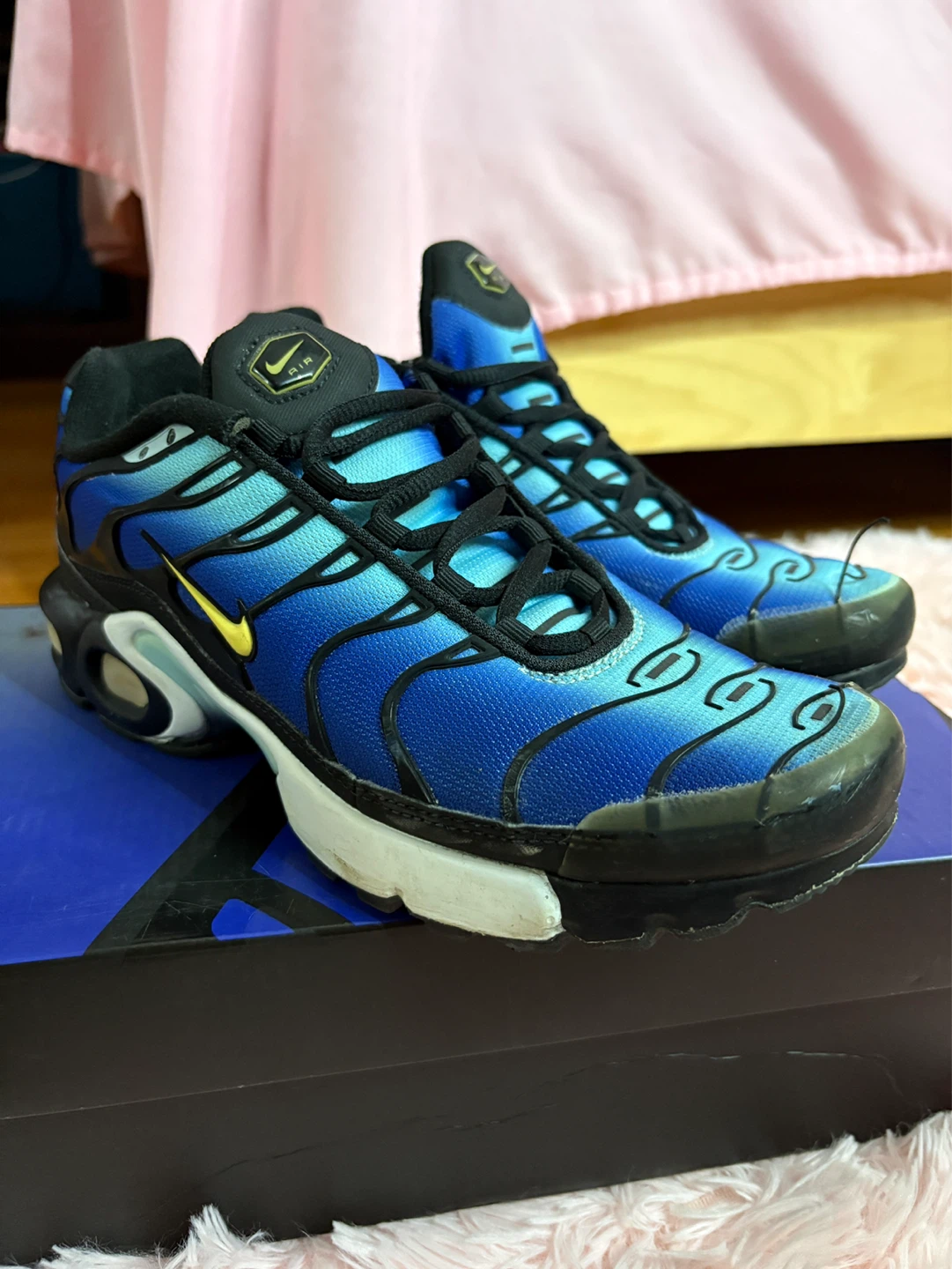 Nike Air Max Plus (GS) Blue Gradient Running Shoes