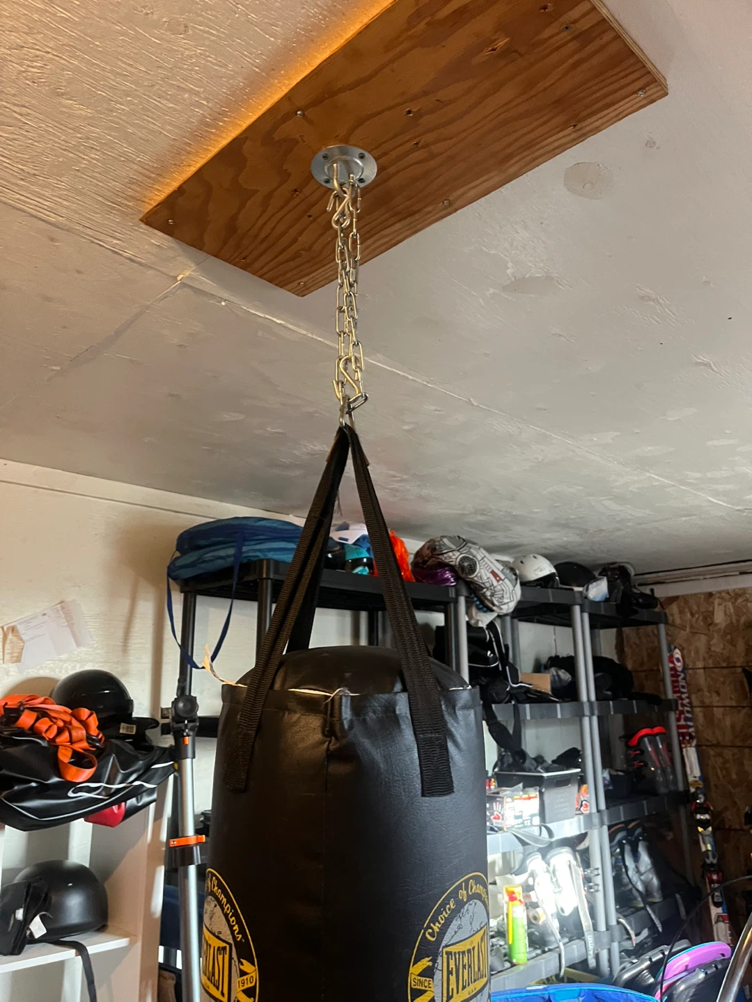 Everlast Punching Bag