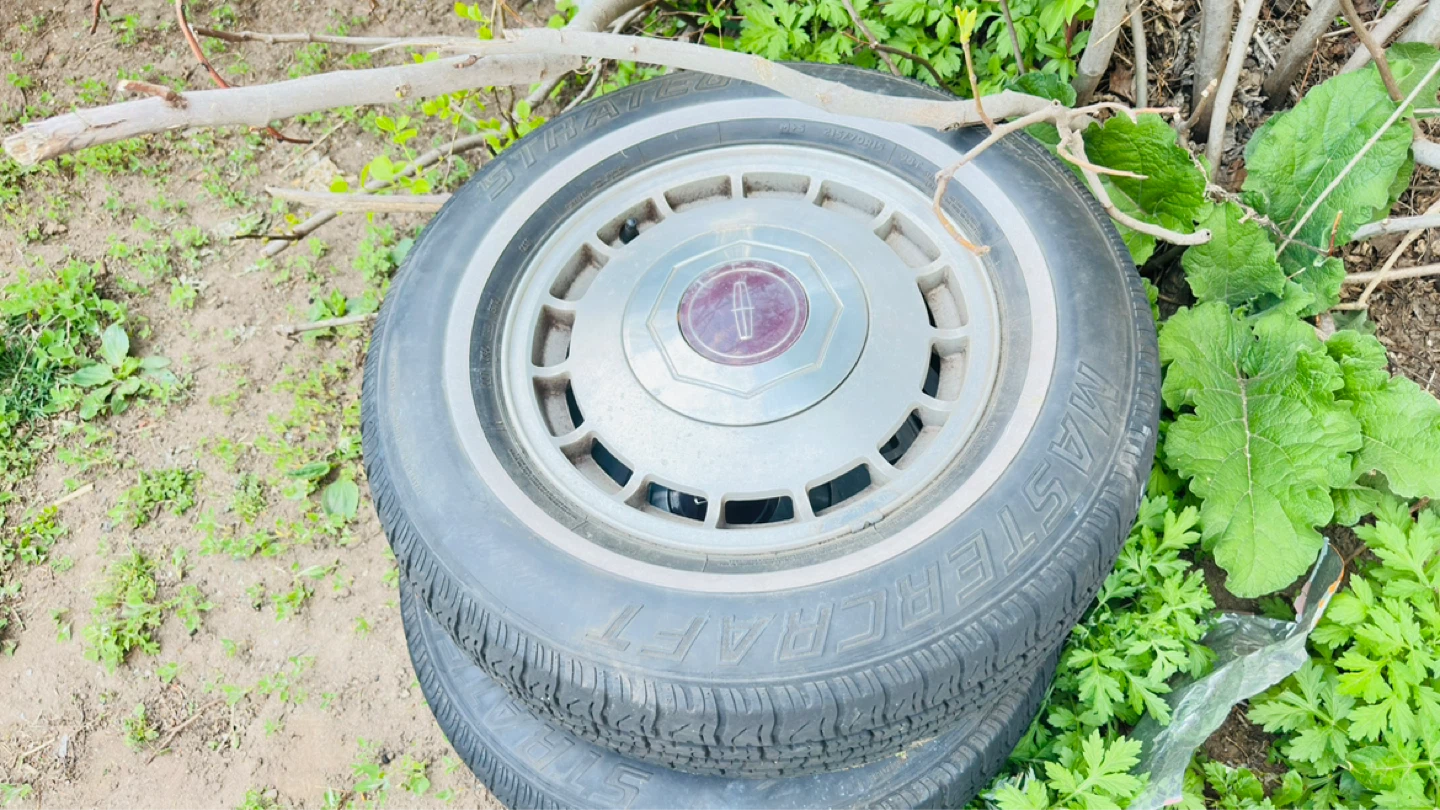 1984 Lincoln LSC - photo 5