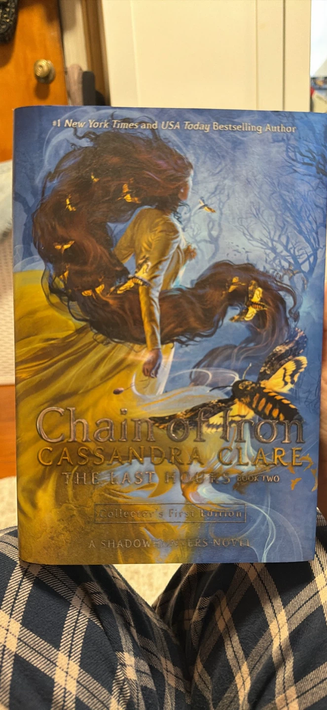 Chain of Gold & Chain of Iron Collector's First Editions - photo 3