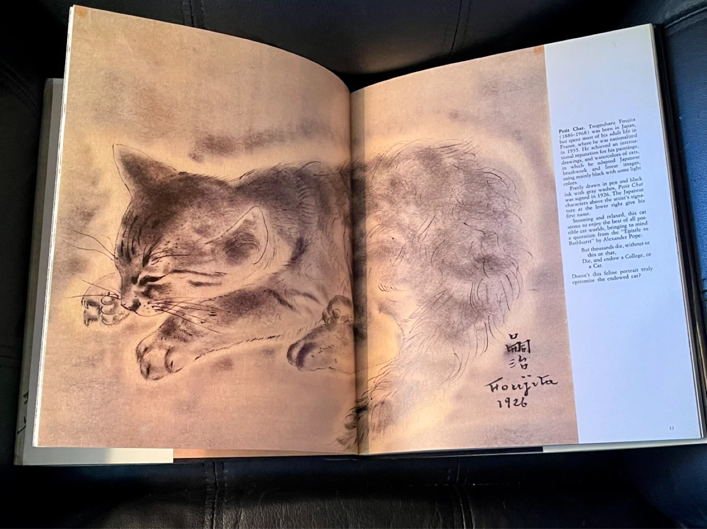 Metropolitan Cats Hardcover Coffee Table Book - photo 4