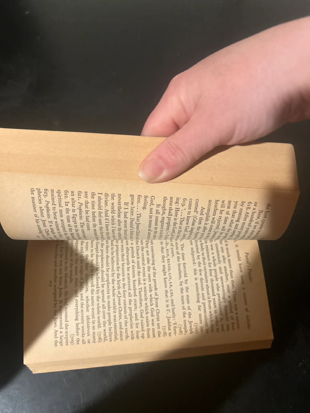 🌱Pascal's Pensées Book - photo 3