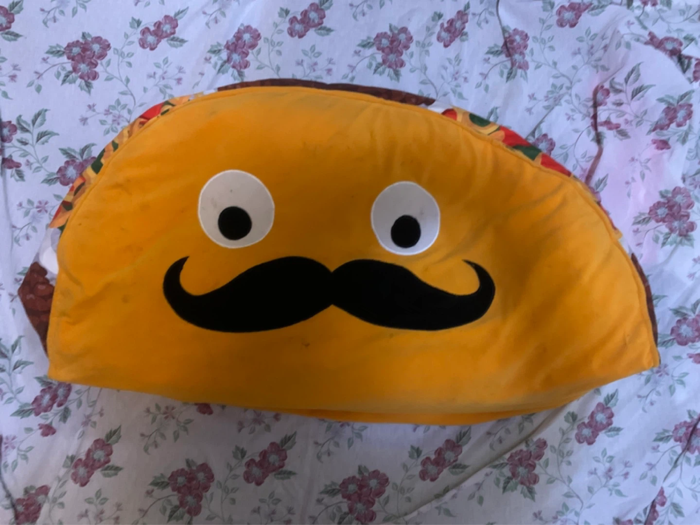 Bean bag Taco Pillow with Moustache