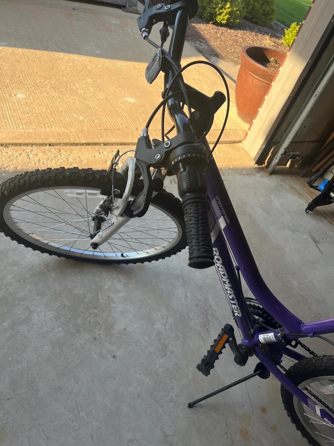 Roadmaster Purple Mountain Bike