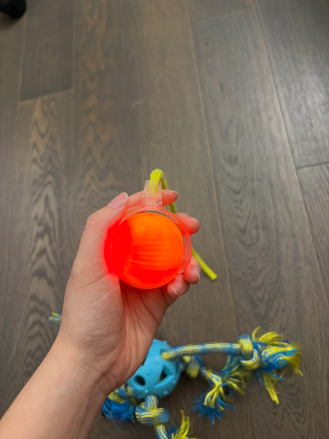 Dog Toys - photo 2