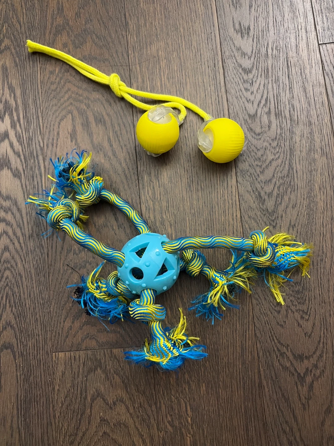 Dog Toys