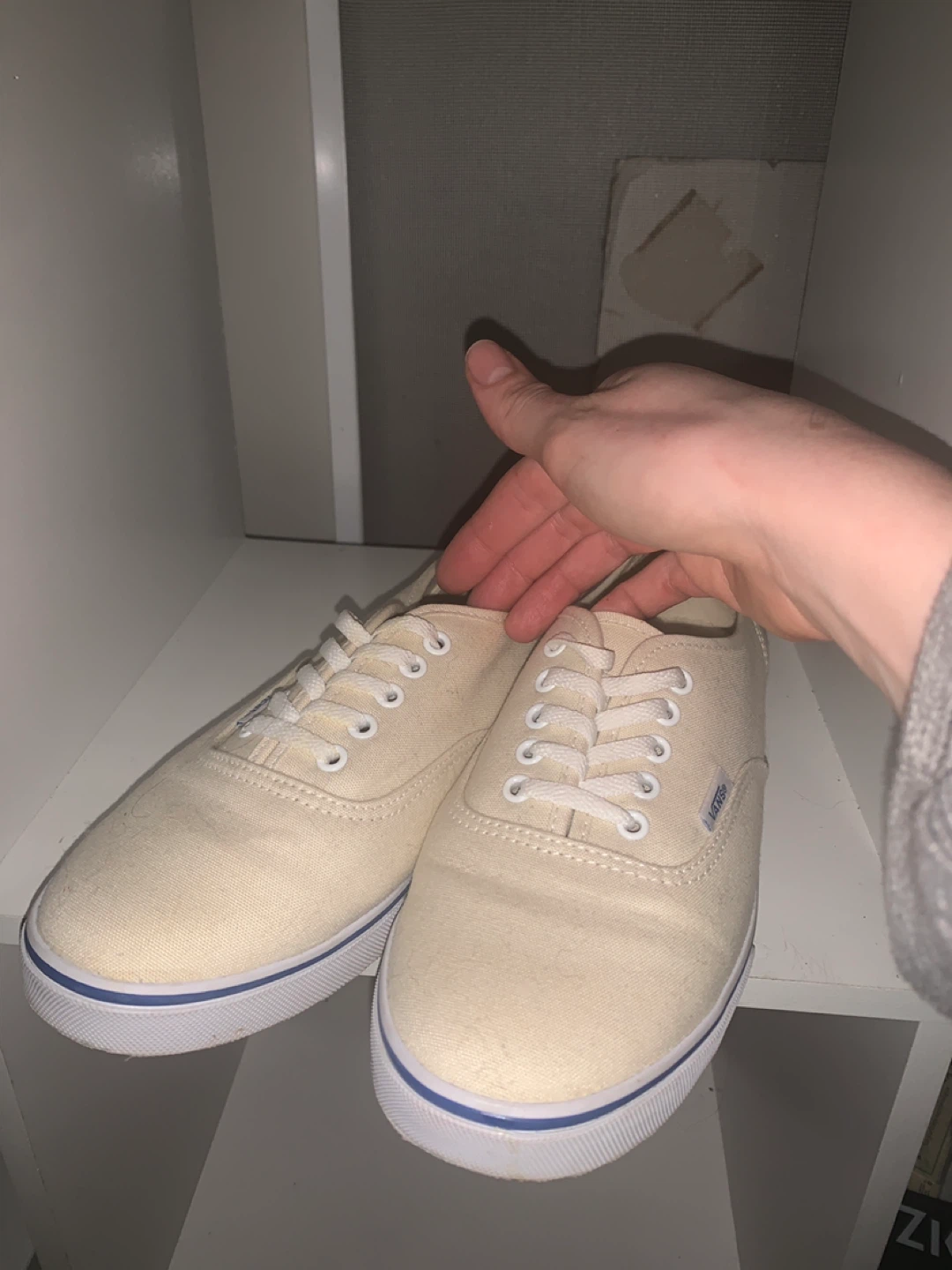 Vans Canvas Sneakers