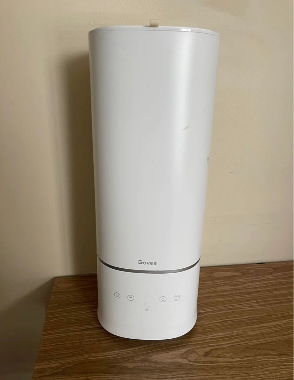 Govee Humidifier