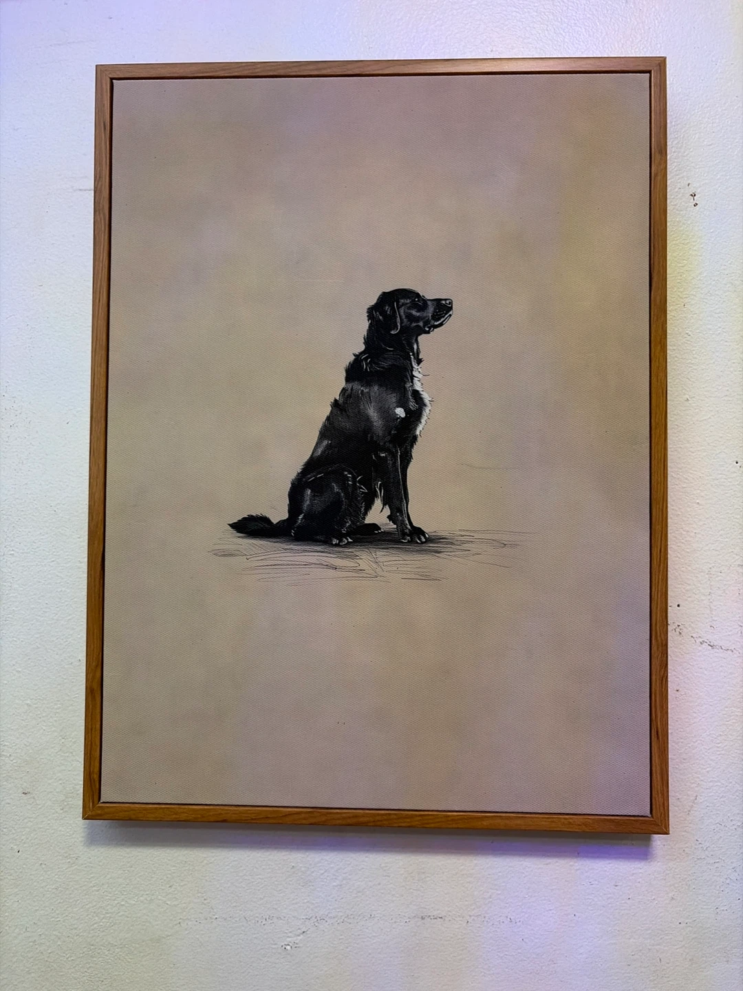 Canvas with wooden frame