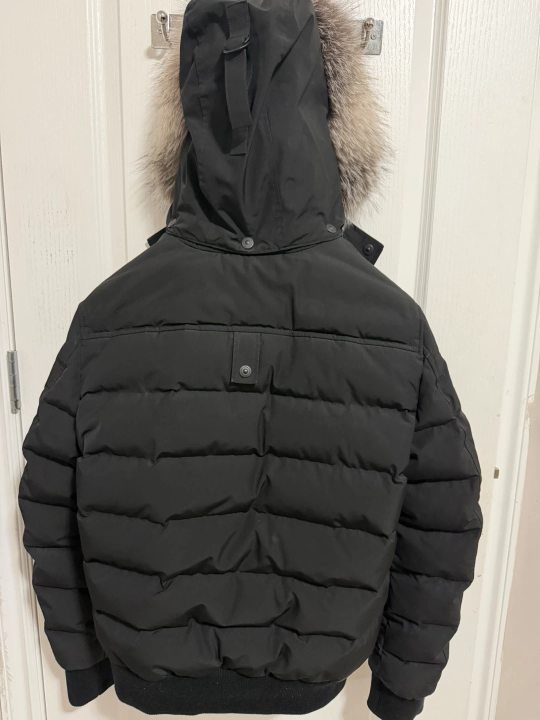 Moose Knuckles Bomber