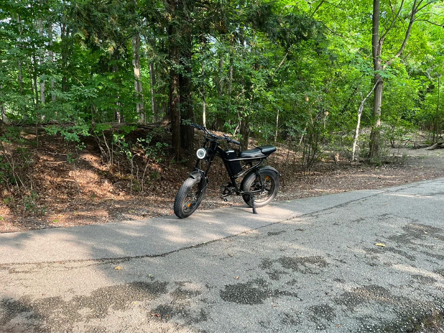 Riding Times Fat Tire eBike
