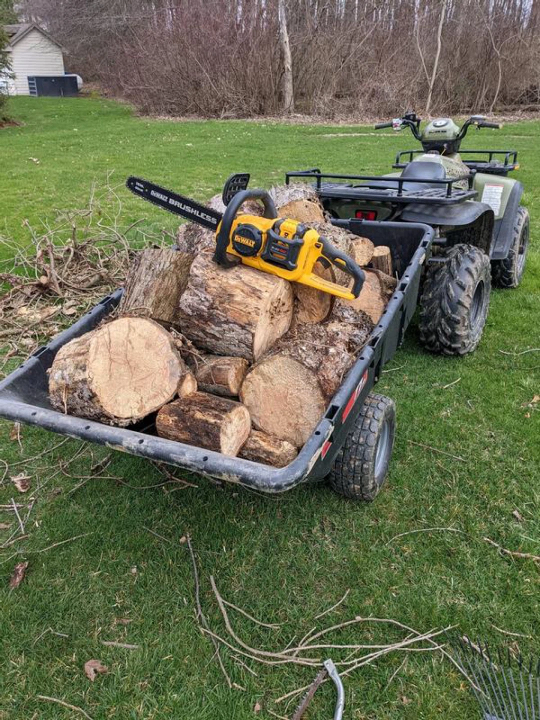DeWalt 60V MAX Cordless Chainsaw - 16 inch