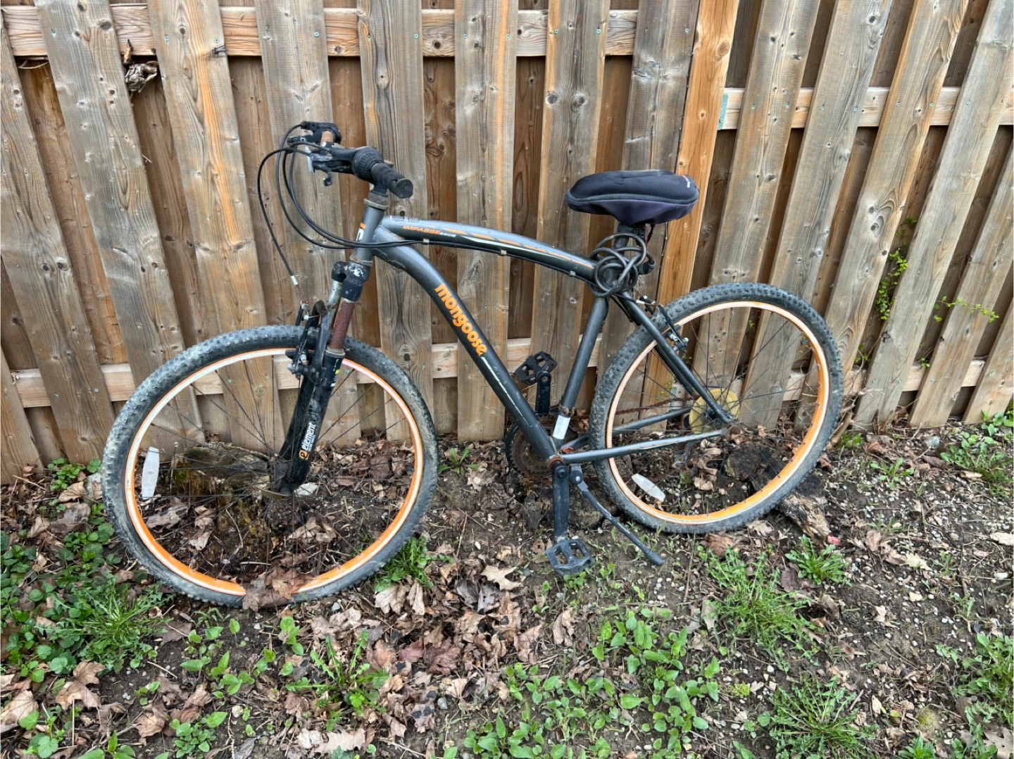 Mongoose Mountain Bike