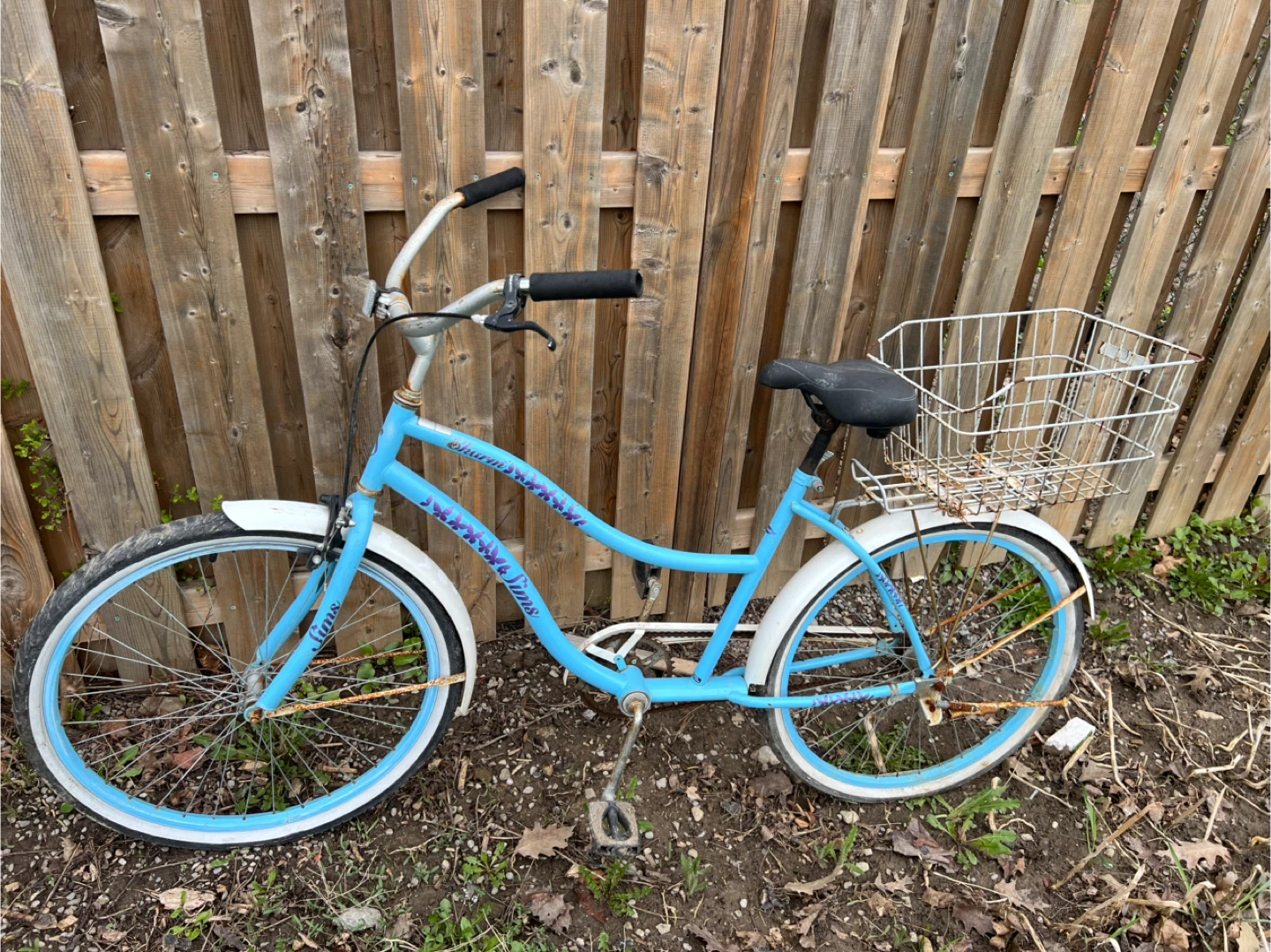 Sky blue cruiser bike with basket