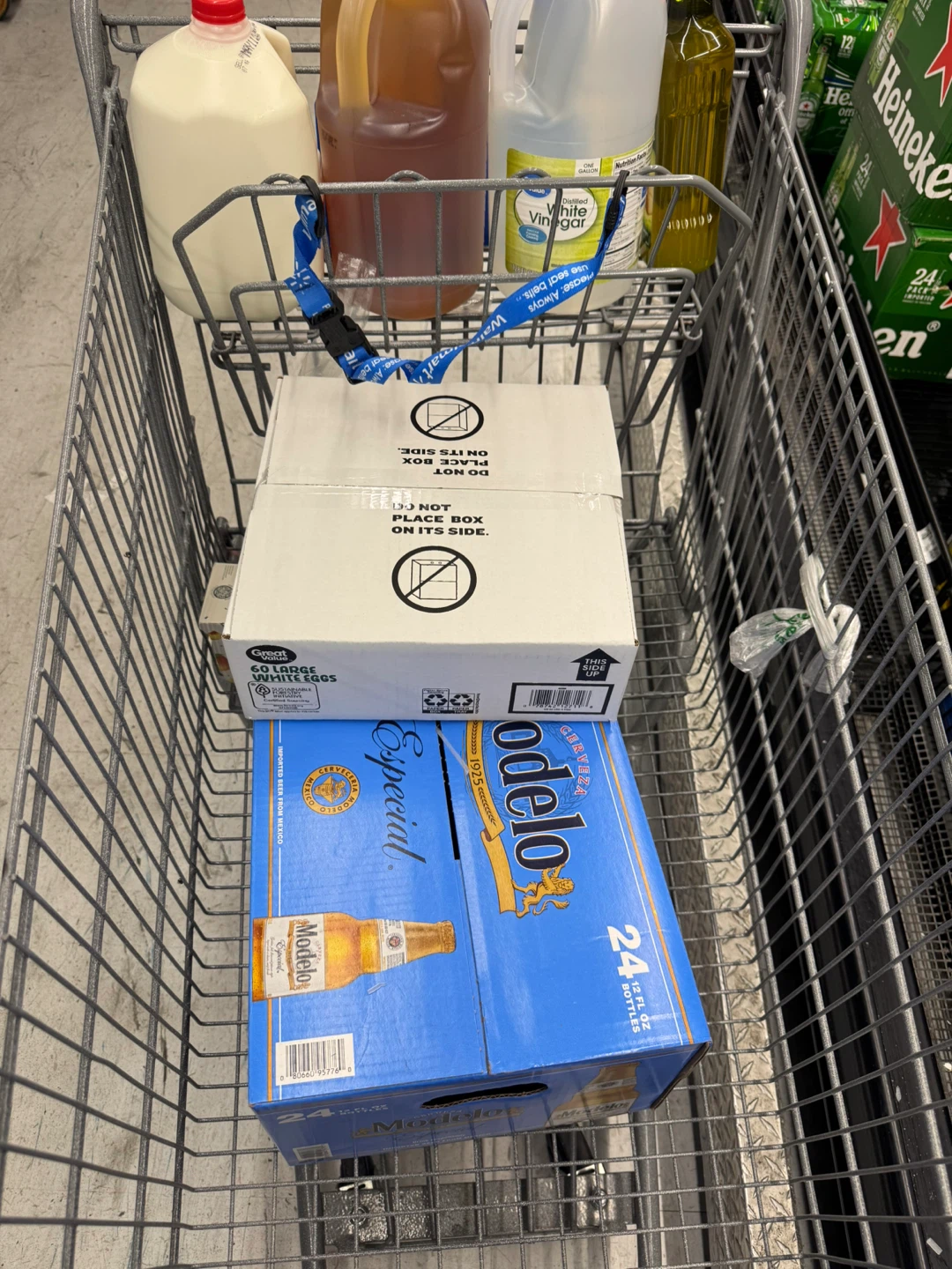 Modelo Especial Beer 24 Bottles