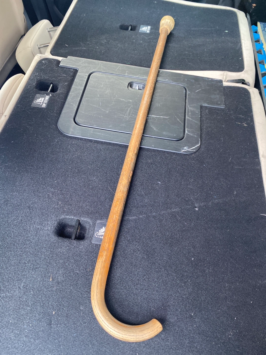 Wooden Cane 🌱
