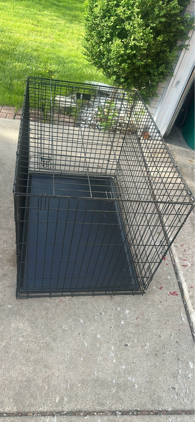 Black Wire Dog Crate with Tray
