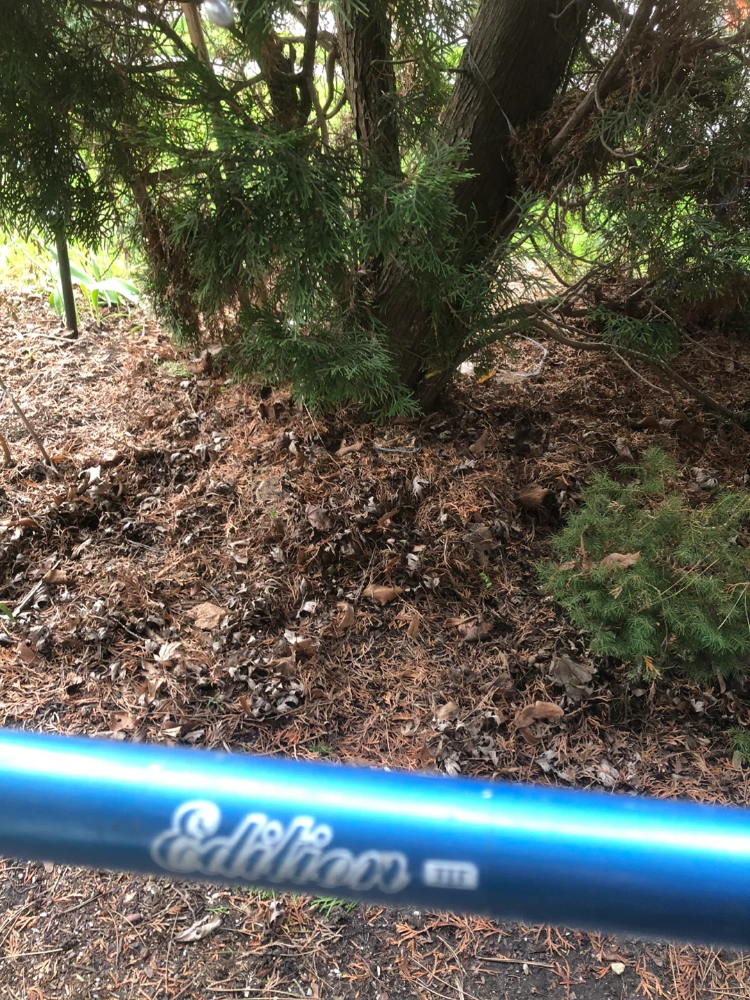 Supercycle Edition Bicycle - photo 5
