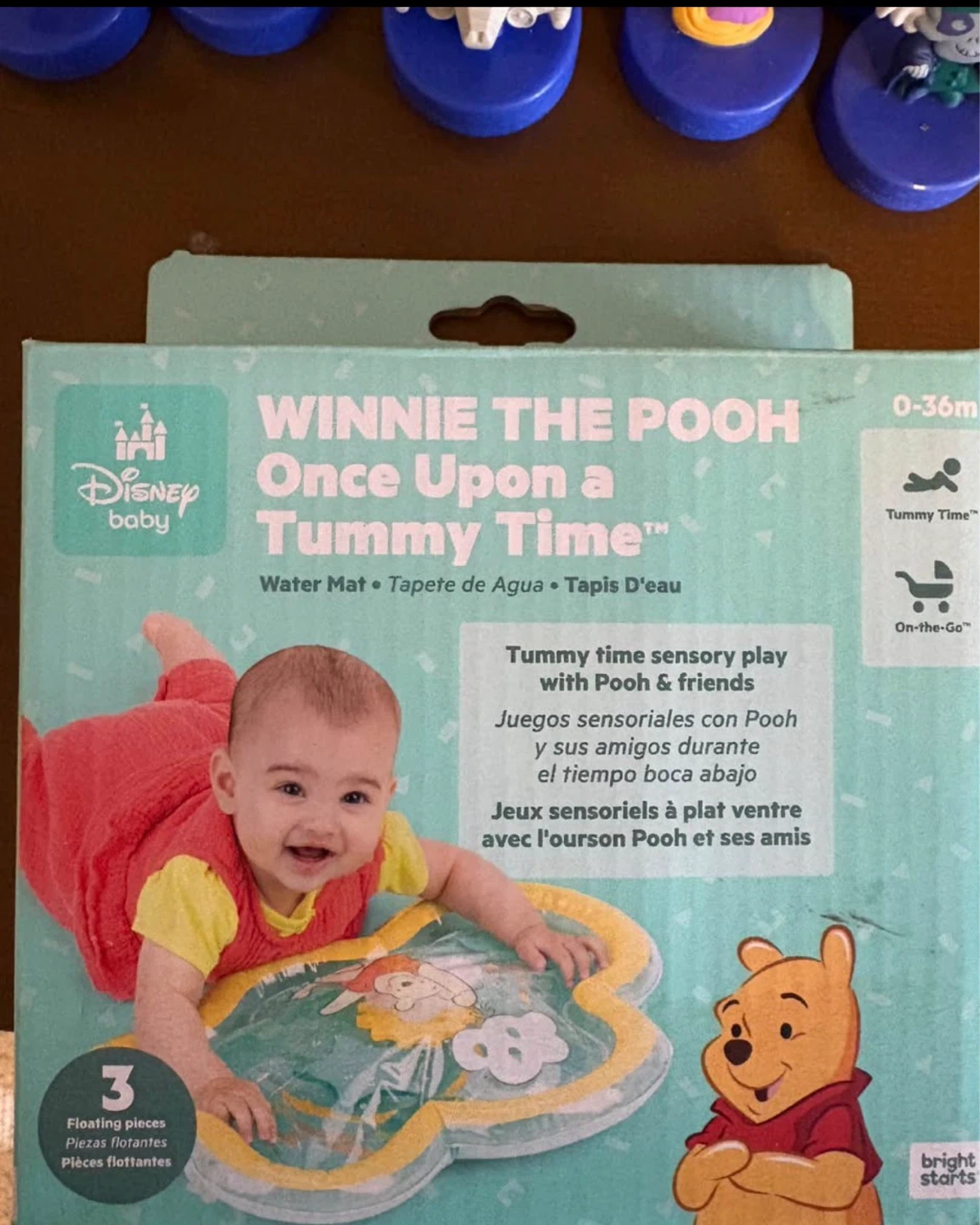 Disney Baby Winnie the Pooh Once Upon a Tummy Time Water Mat