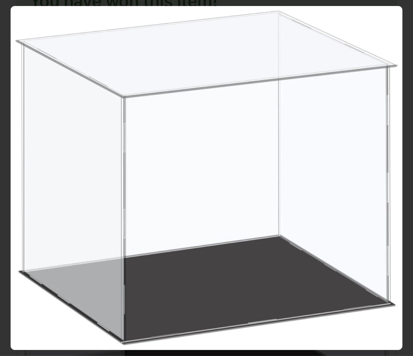 Clear Display Case with Black Base