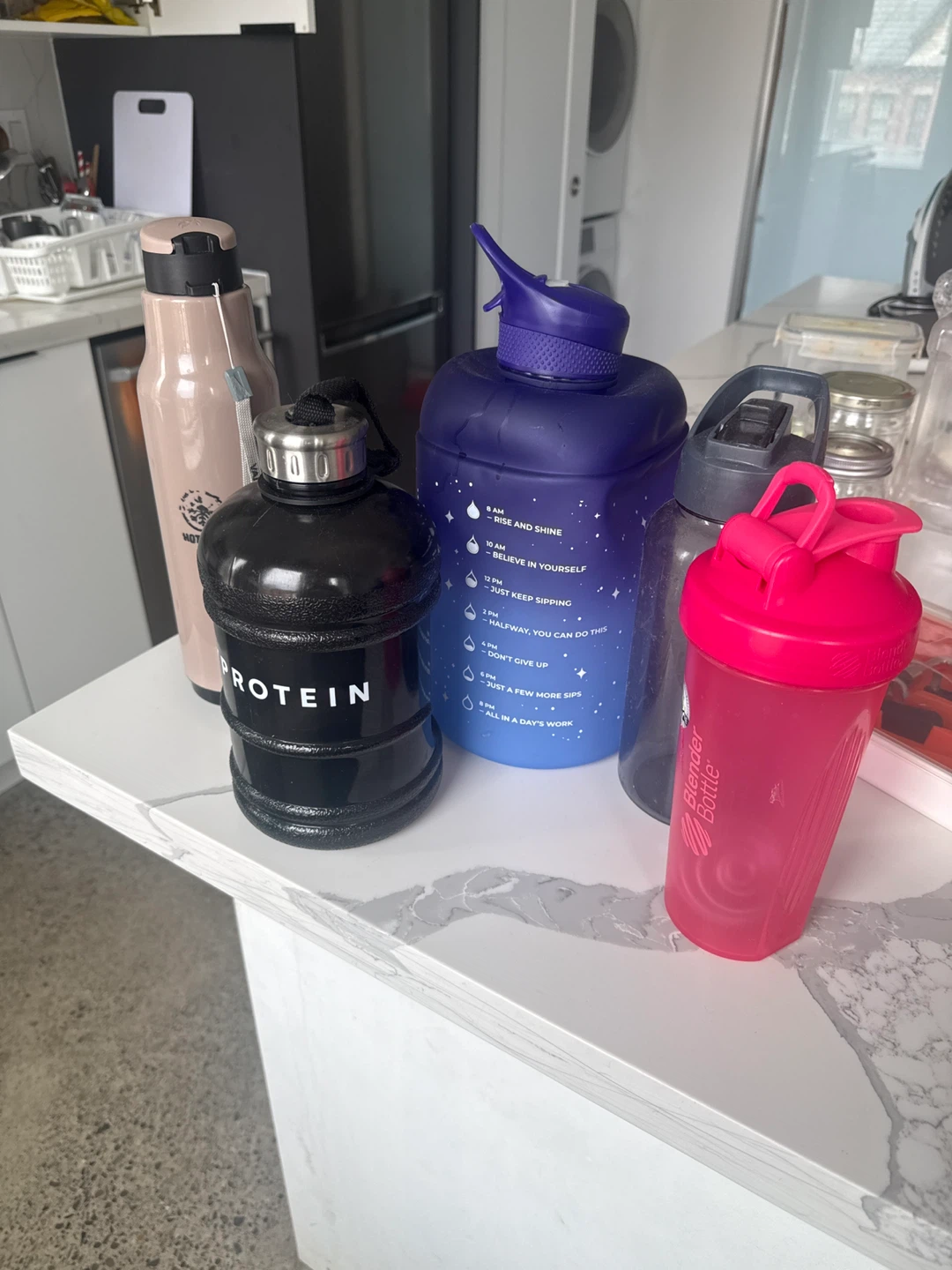 Blender Bottle Protein Shaker and Water Bottles 🌱