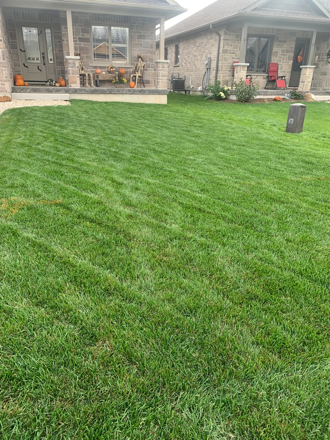 M&M Lawn Care Spring Aeration & Seeding