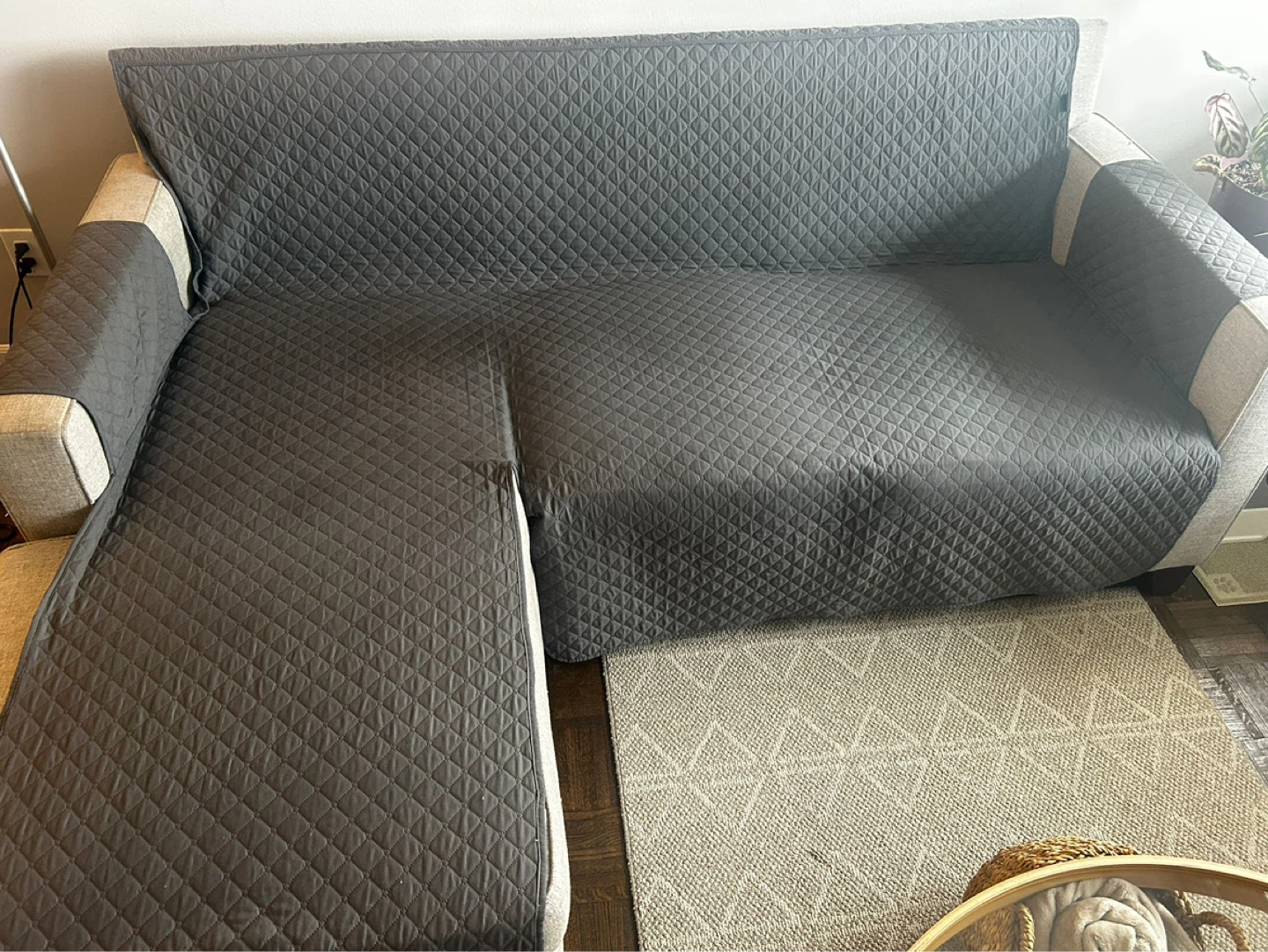 Pottery Barn sectional sofa with chaise lounge - photo 4