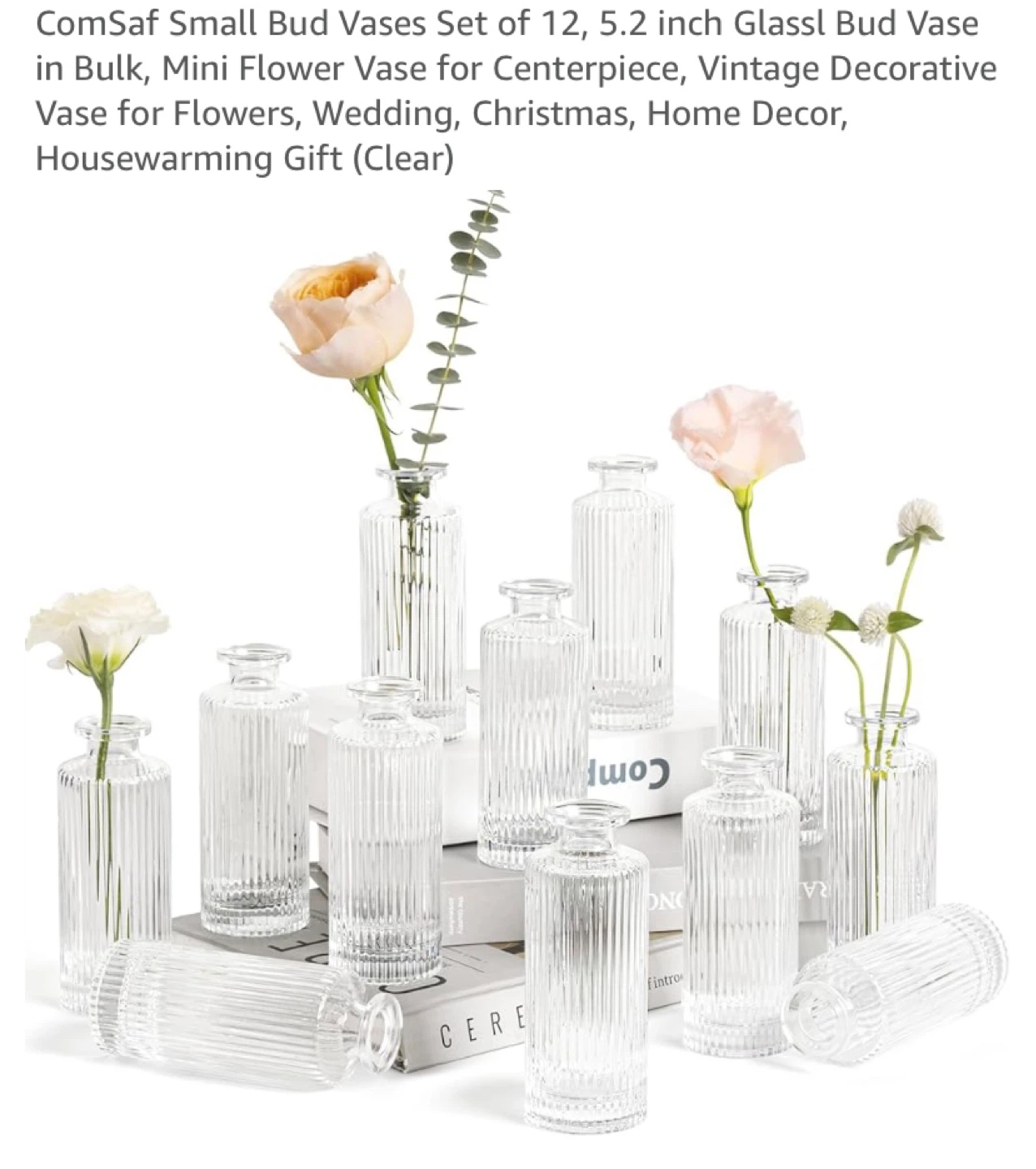New Clear Glass Mini Bud Vases Set of 12