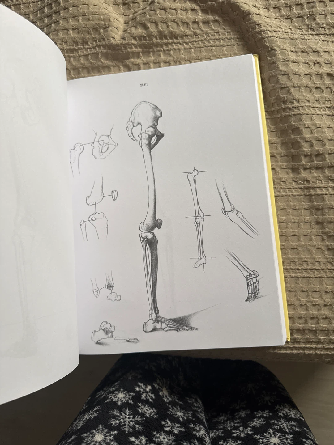 Anatomy for the Artist by Jenó Barcsay Book - photo 2